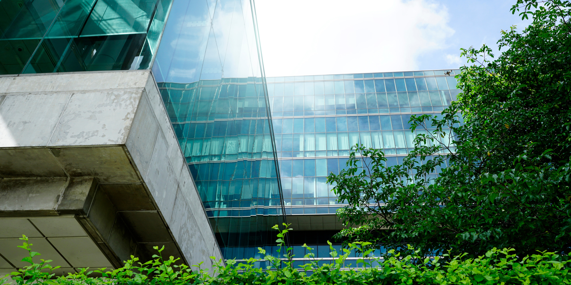 8 key steps to achieving net-zero carbon emissions (1)
