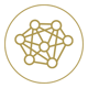 Complexity