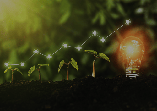 Green tech leader