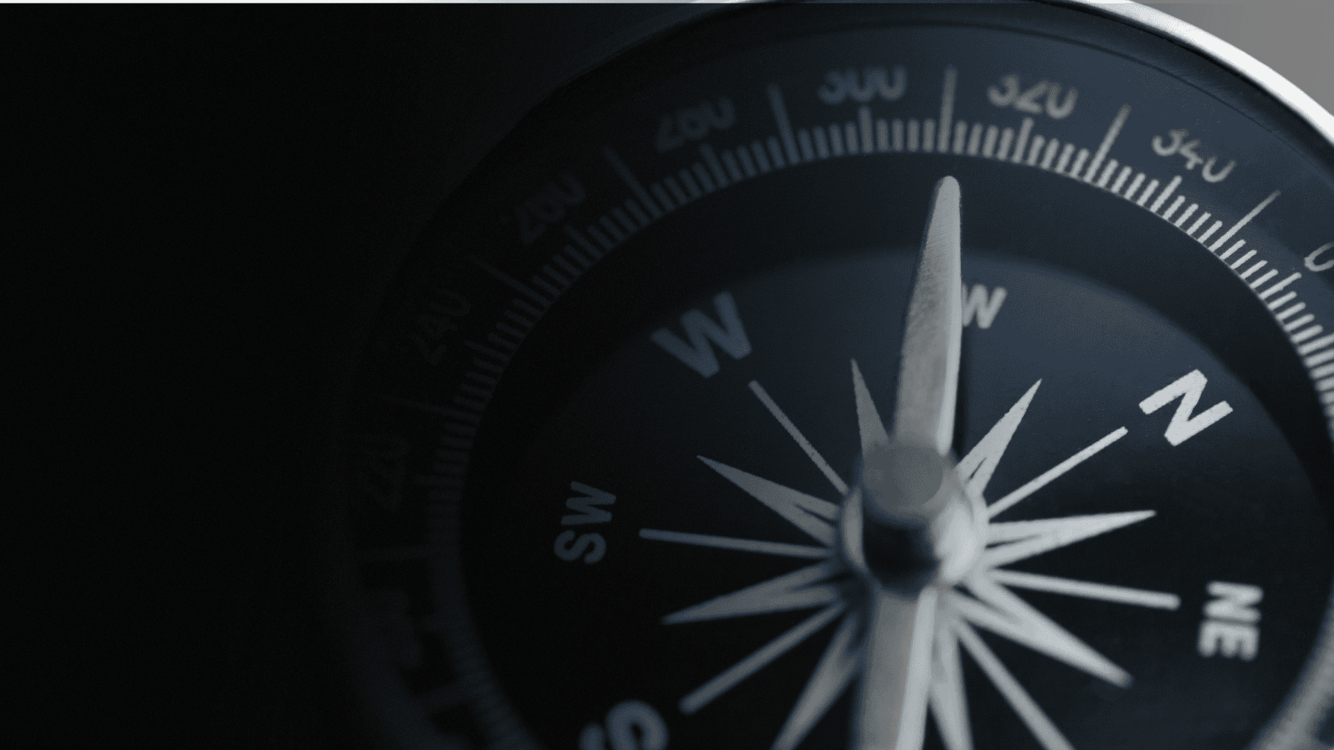 Tech Leadership and Strategy Advisory
