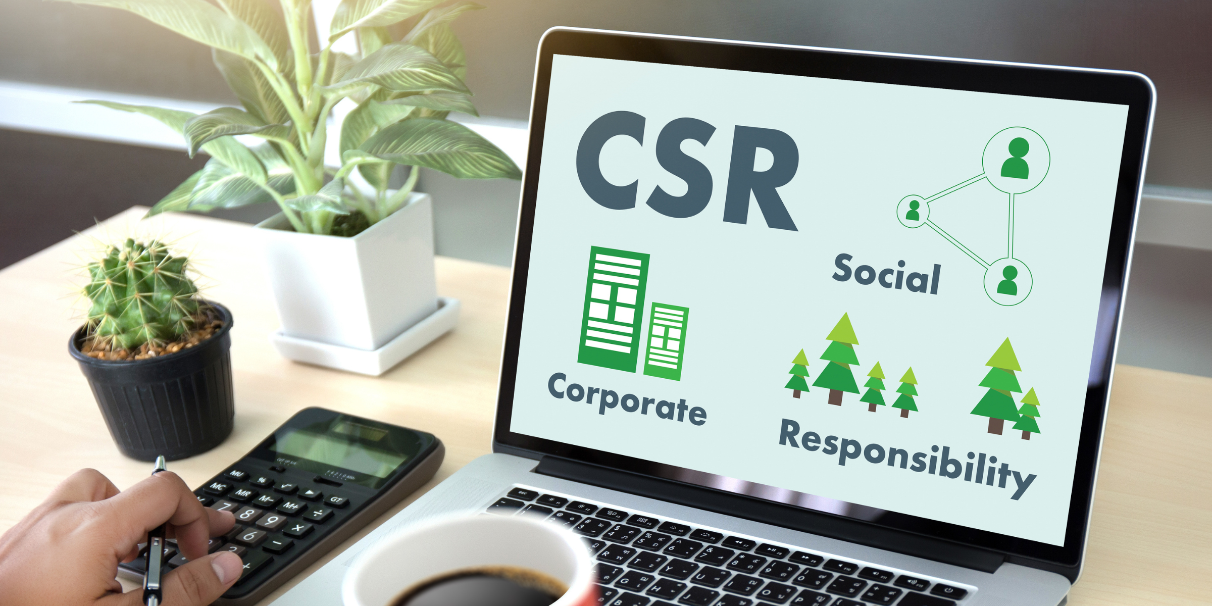 What is sustainability in business